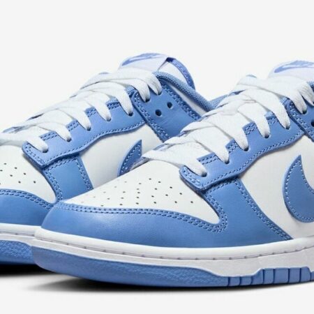 Dunk Low Polar